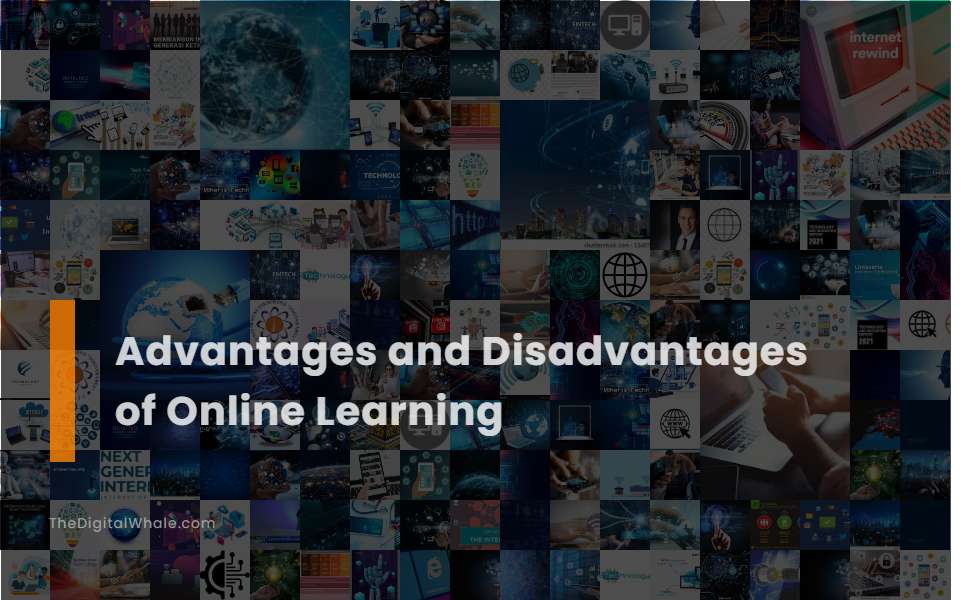 Advantages and Disadvantages of Online Learning