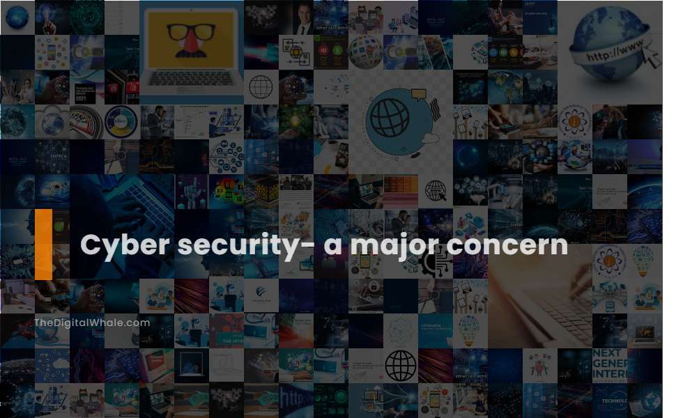 Cyber Security- A Major Concern