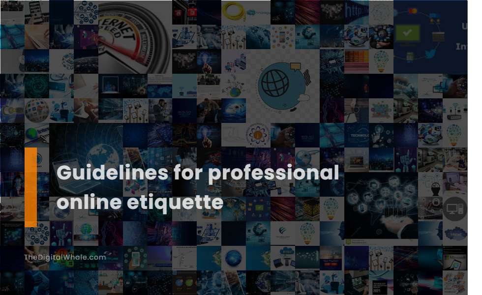 Guidelines for Professional Online Etiquette