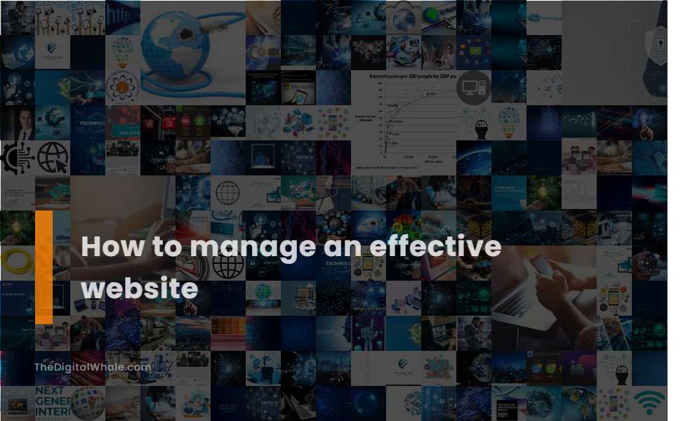 How To Manage An Effective Website