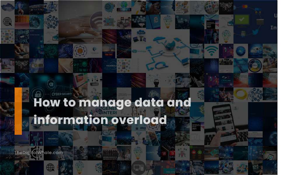 How To Manage Data and Information Overload