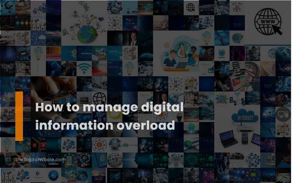 How To Manage Digital Information Overload