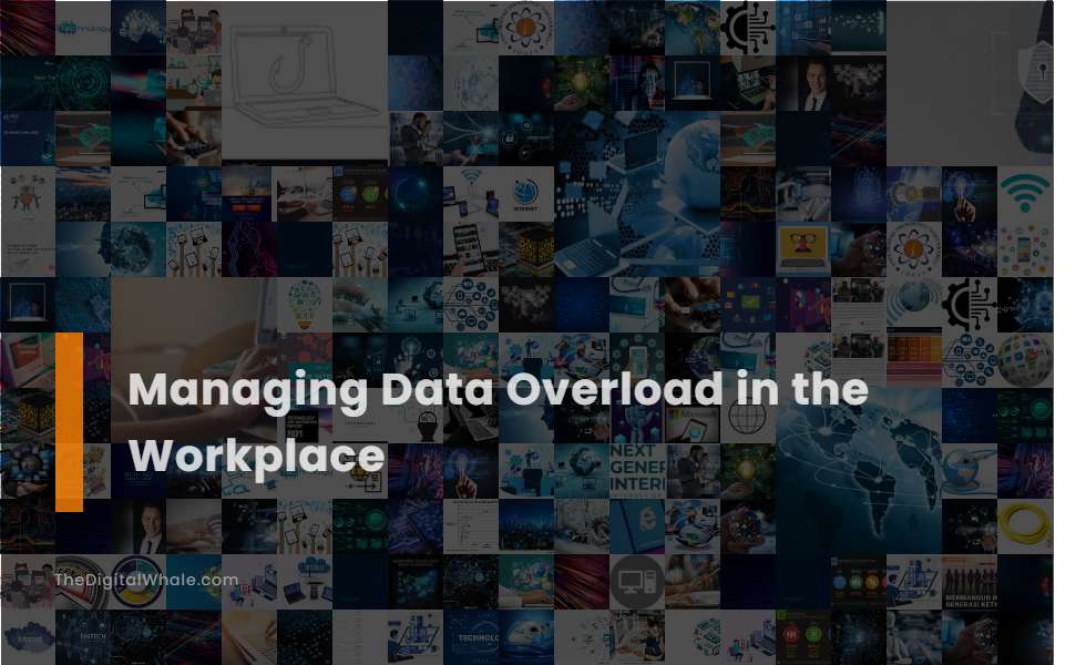 Managing Data Overload In the Workplace