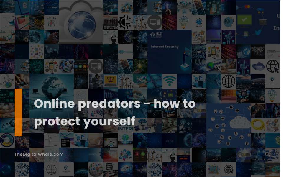Online Predators - How To Protect Yourself