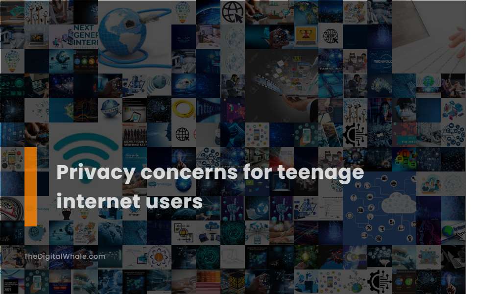 Privacy Concerns for Teenage Internet Users