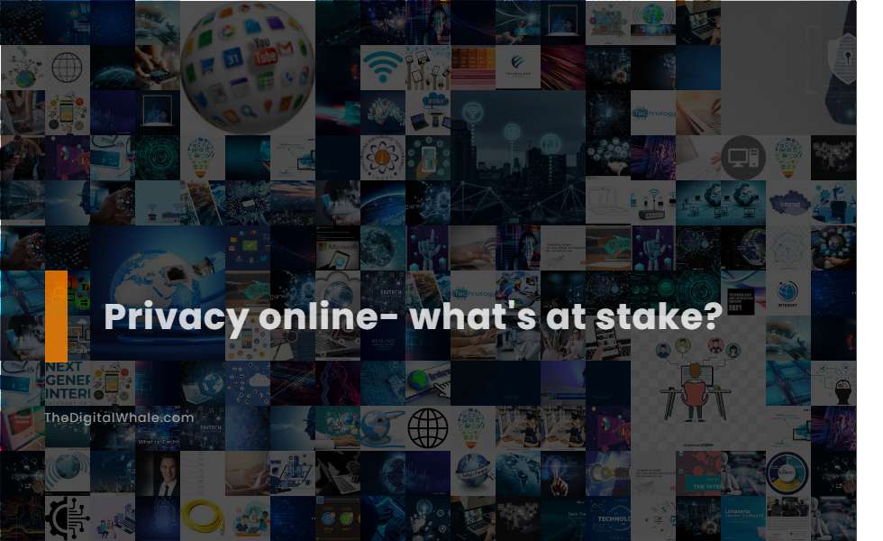 Privacy Online- What's at Stake?