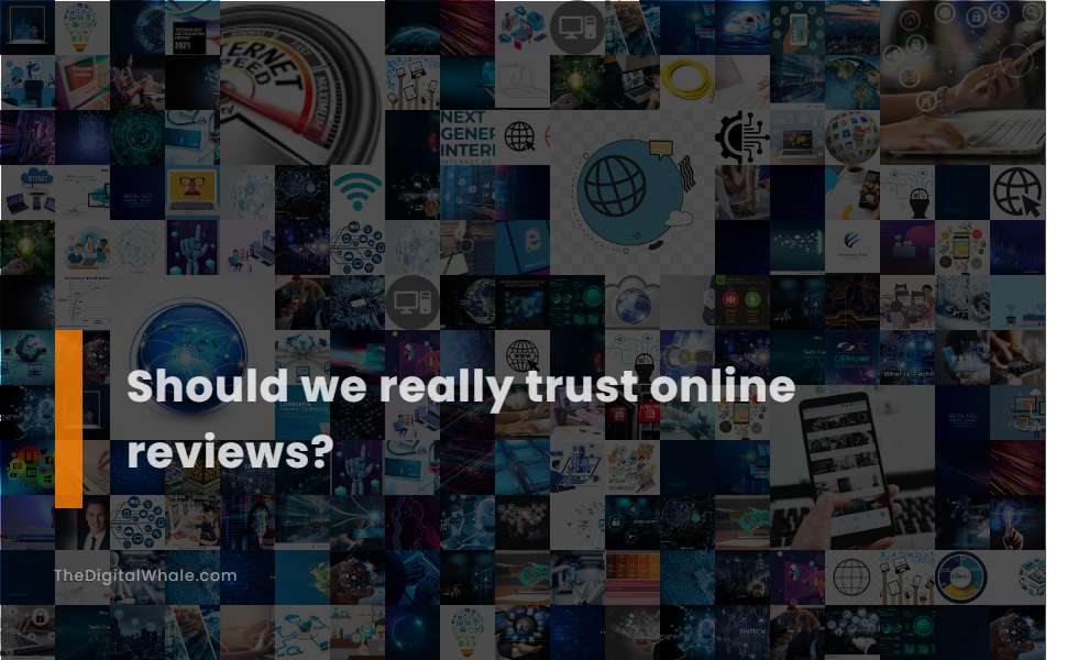 Should We Really Trust Online Reviews?