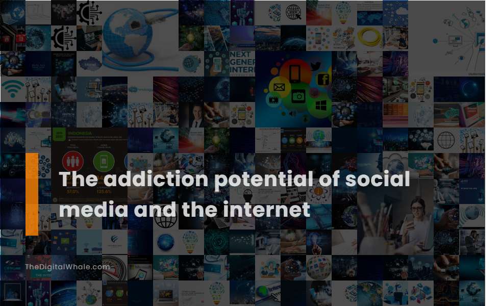 The Addiction Potential of Social Media and the Internet