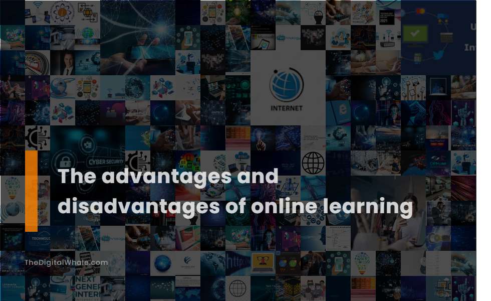 The Advantages and Disadvantages of Online Learning