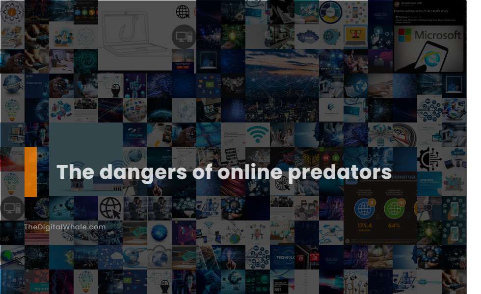 The Dangers of Online Predators