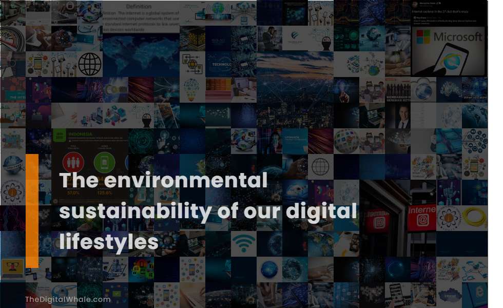 The Environmental Sustainability of Our Digital Lifestyles
