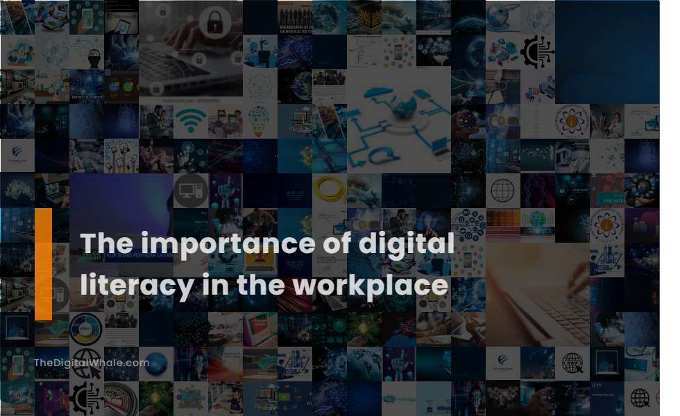 The Importance of Digital Literacy In the Workplace