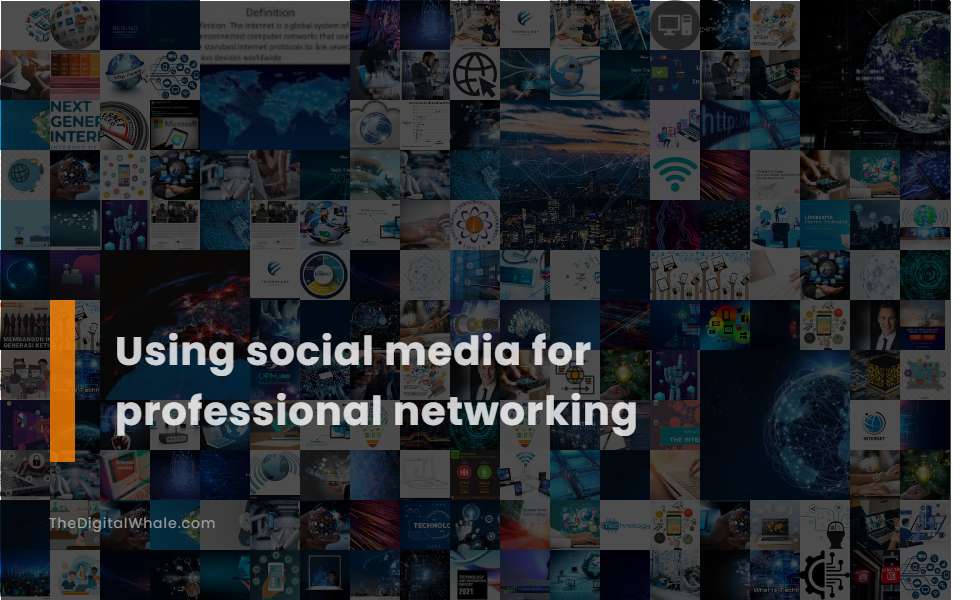 Using Social Media for Professional Networking