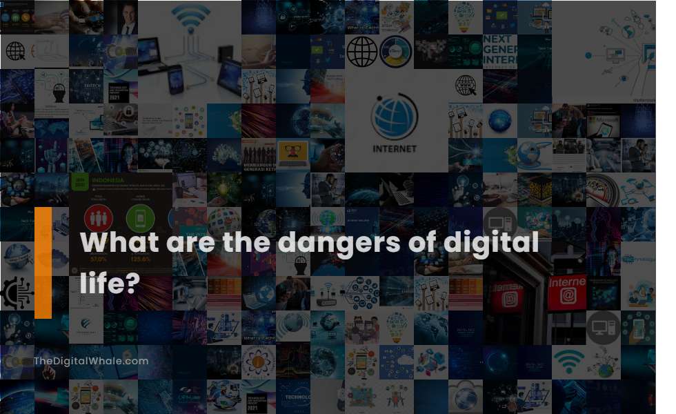 What Are the Dangers of Digital Life?