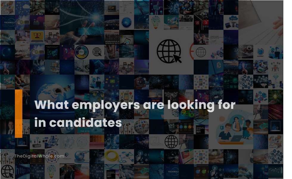 What Employers Are Looking for In Candidates