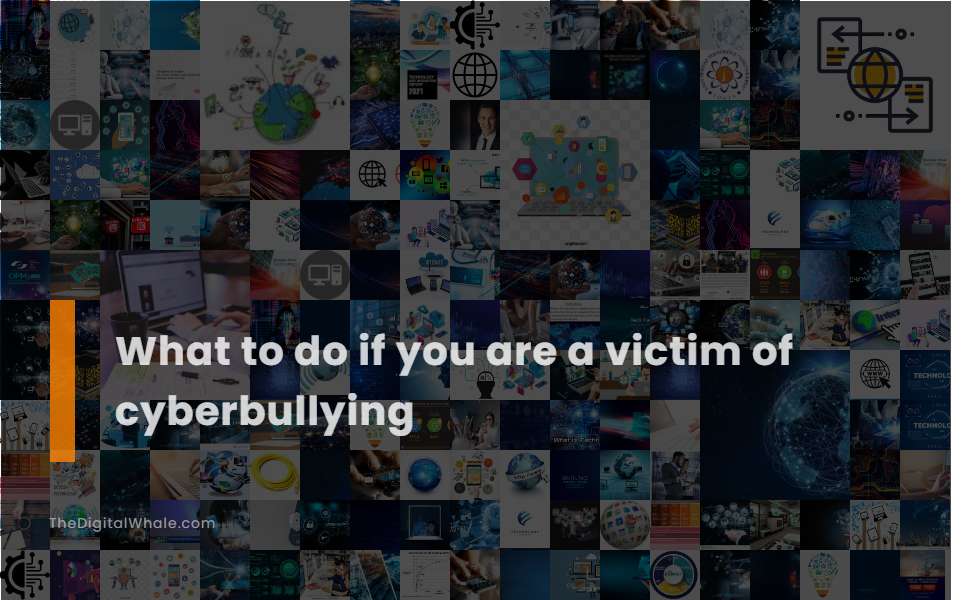What To Do If You Are A Victim of Cyberbullying