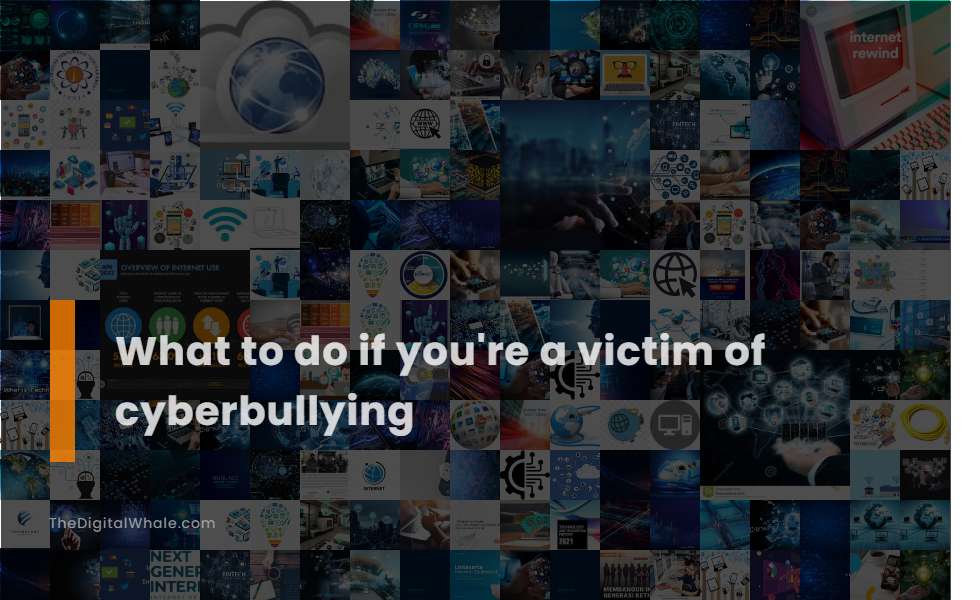 What To Do If You're A Victim of Cyberbullying